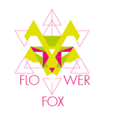 Saturday Night Mix (Dj Flower Fox)