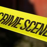 First Offence - Criminal Offence Mix