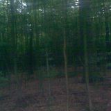 Shishoka - Scream of the Ancients Cave (Forrest Darkpsy MIX)