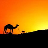 Wonderful Arabic Chill Out & Lounge Music 2014 - By drinib