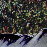 Supreme Universe