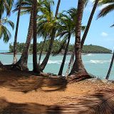 PARADISE
