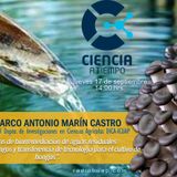 Podcast: Dr. Marco Antonio Marín Castro "Biorremediación con aguas residuales"