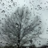 Beautiful melodies for a rainy sunday