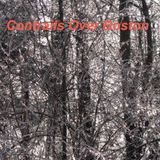 Contrails Over Boston - Podcast 006