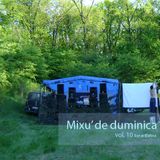 Mixu' de duminica vol.10
