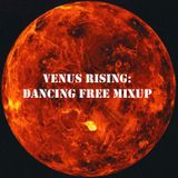 Venus Rising Mix