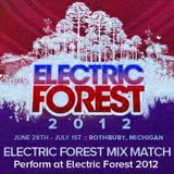 Electric Forest Mix Match 2012