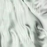 Moby,Chermical Brothers,Apparat,Trentemoller,The Knife,Royksopp (White Flag)
