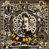 DJ HI-C "Enter the dragon"