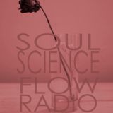 Soul Science Flow - New love groove