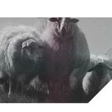Muzaik 007, mixed by FAIDEL