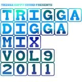 TRIGGA DIGGA MIX VOL. 9