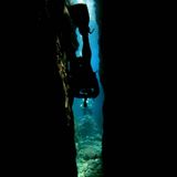 The Big Blue