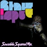 Statelapse Sociable Squirrel Studio Mix