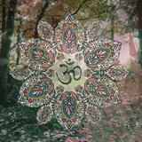Algiz - Freqs Of Nature