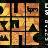 Solomun - BPM Festival 2015, Diynamic (Blue Parrot, Mexico) – 13.01.2015