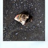 micromelancolié Mixtape for International Tapes