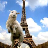 716 Exclusive Mix - TLR : Pompe Le Mouton Mix