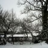 Ice Cold Winter Chill