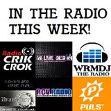DJane PinkLady Radio Show this week #100
