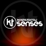 Kastis Torrau - Senses # 1 - 2006
