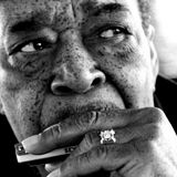 JAMES COTTON