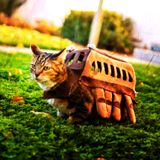 Les mixtapes du chat-bus | chat-pitre 01 | (Alex Terror)