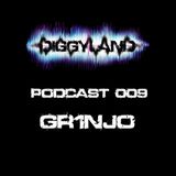 DIGGYLAND PODCAST 009 By Gr1njo