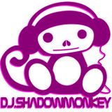 DJ.ShadowMonkey No body Listens to Techno
