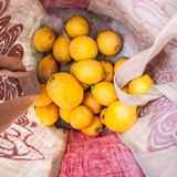 RDfood&forage 2.9.2015