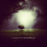 No One Like You