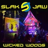 Wicked Woods 2012 (Live)