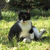 mix20110716
