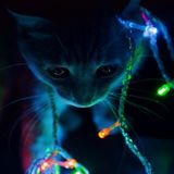 Each Magical Moment Is Ecstasy