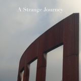 Türp - A Strange Journey