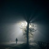 Through the night (Volume 1)