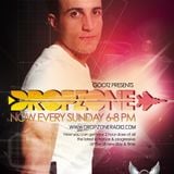 DropZone 2011 Year Mix