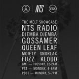 NTS 17/6/2013 w/ Special Guests The Melt (All Members) & 00Genesis