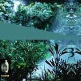 P L A N T A /// 3 /// FULL DISC