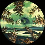 Psychic Guacamole Mixtape