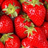 POHALINO - STRAWBERRY FIELDS VOL 1