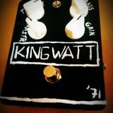 WIIO clone demo with Telecaster single coils