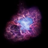 Rectified - Supernova