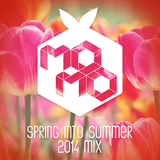 SPRING into SUMMER 2014 mix