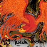 dj phoenix pres public tranceportation vol 01