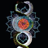 MISH'CHIEF MUSIC FOR TRIBES - INSTINCT AND INNERVISIONS RADIO UK....designed to dance, deep n deadly
