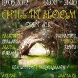 Chill In Bloom Party MX