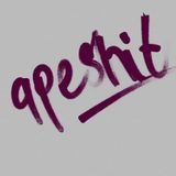 DJ Apesh!t Going Apesh!t