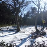 Live at Raw Food Cafe, Tottori on February 24th, 2013